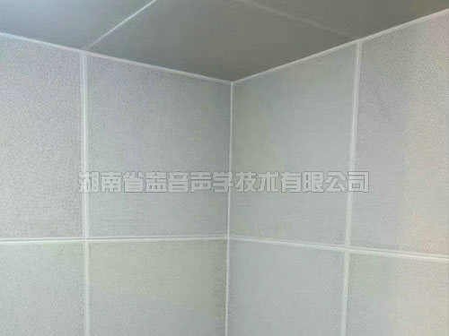 湖南省益音声学技术有限公司,湖南测试隔音,湖南工业隔音,双面迷你测听室哪里的好